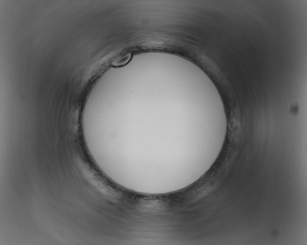 X0000116620454200912312142