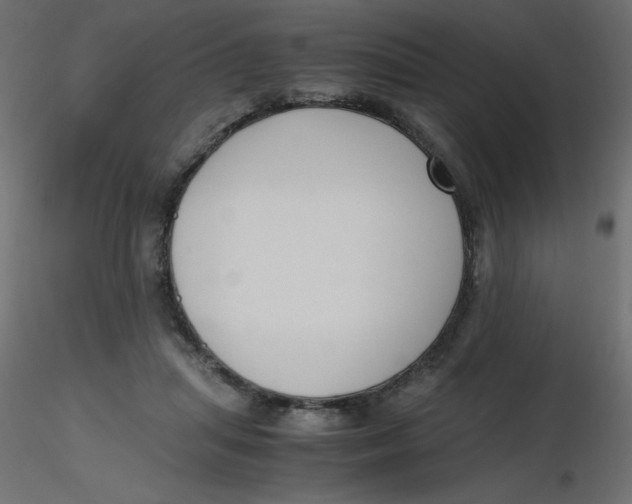 X0000116620455200912312142