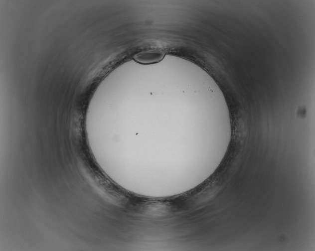 X0000116620456200912312142