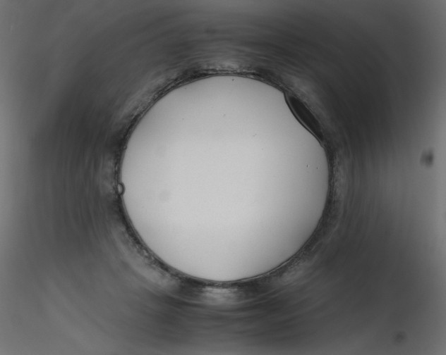 X0000116620457200912312142