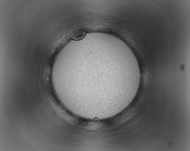 X0000116620458200912312142