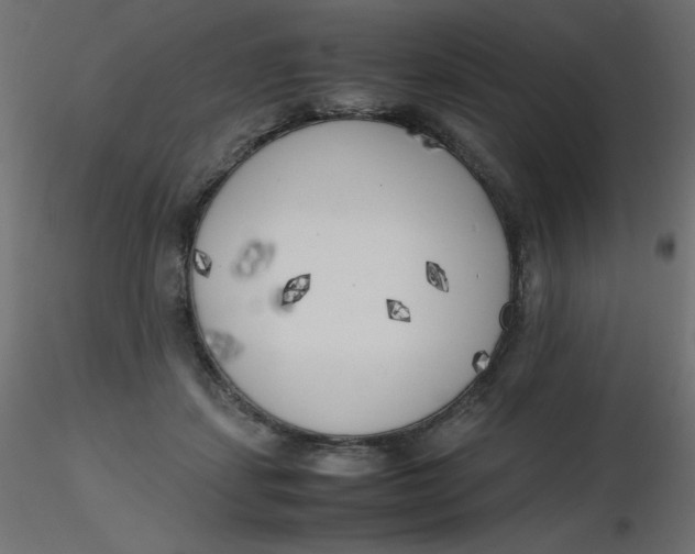 X0000116620459200912312142