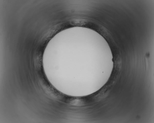 X0000116620460200912312142