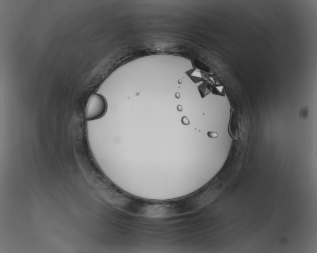 X0000116620461200912312142