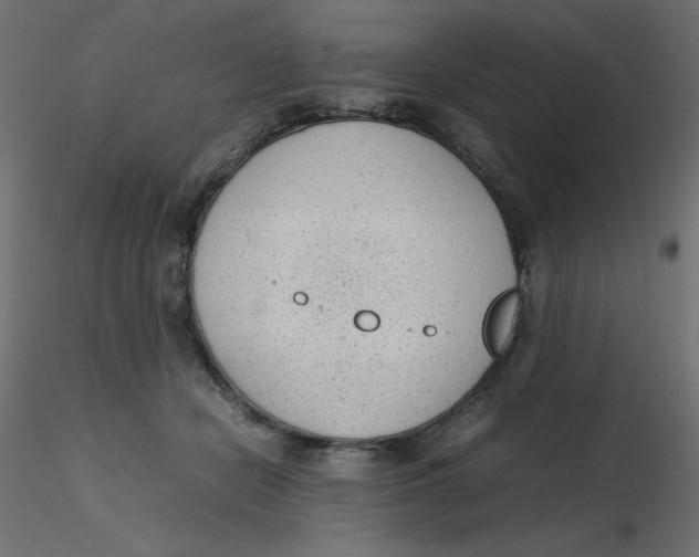 X0000116620462200912312142