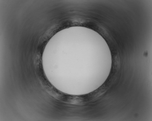 X0000116620463200912312142