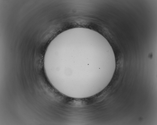 X0000116620464200912312142