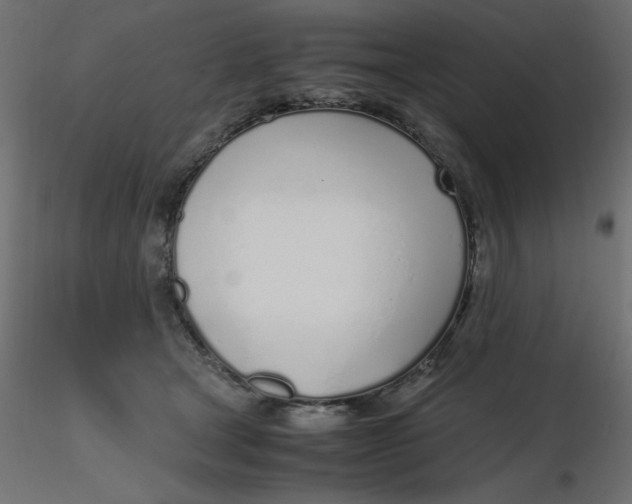 X0000116620465200912312142