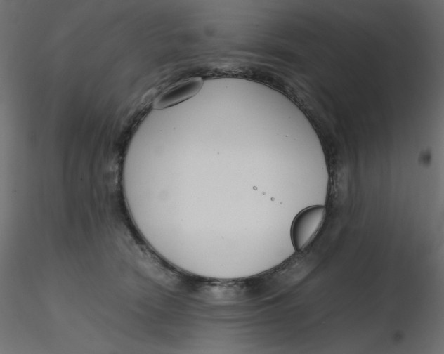 X0000116620466200912312142