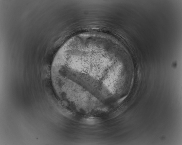 X0000116620467200912312142