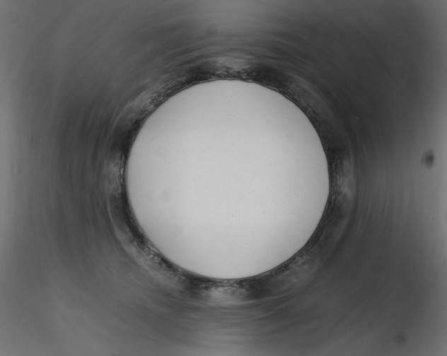 X0000116620468200912312142