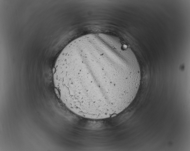 X0000116620469200912312142