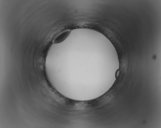 X0000116620470200912312142