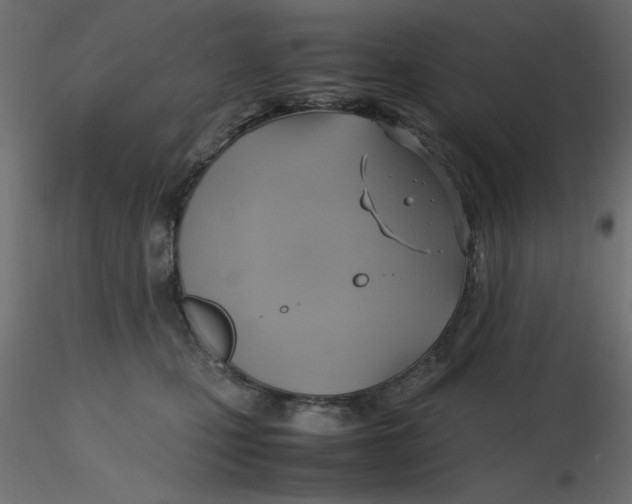 X0000116620471200912312142