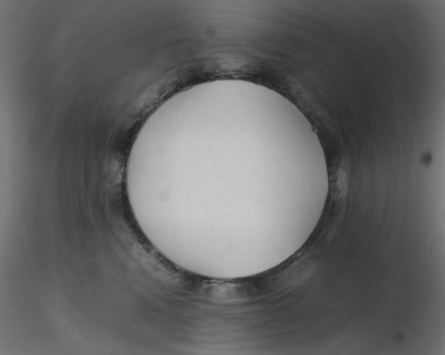 X0000116620472200912312142