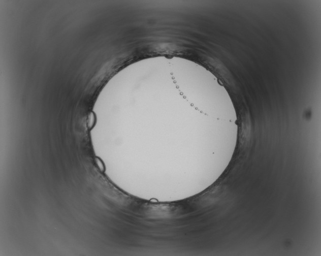 X0000116620473200912312142