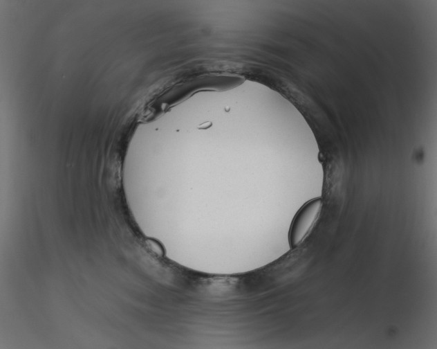 X0000116620474200912312142