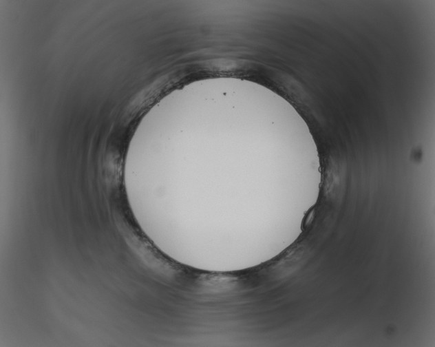 X0000116620476200912312142