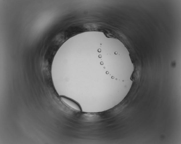 X0000116620477200912312142