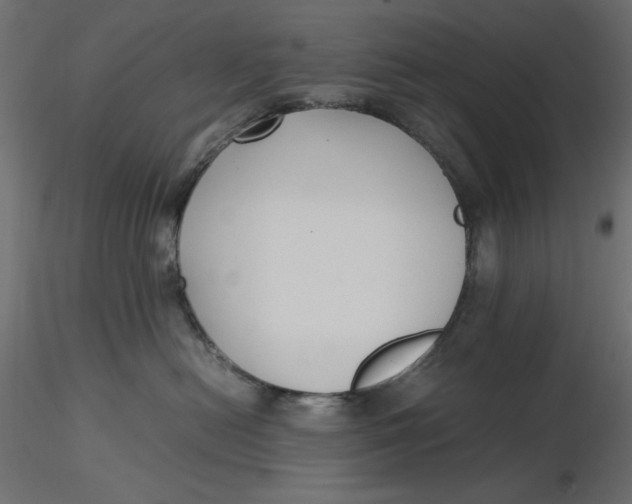 X0000116620478200912312142