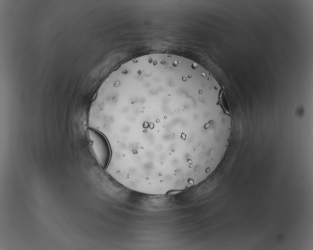 X0000116620479200912312143