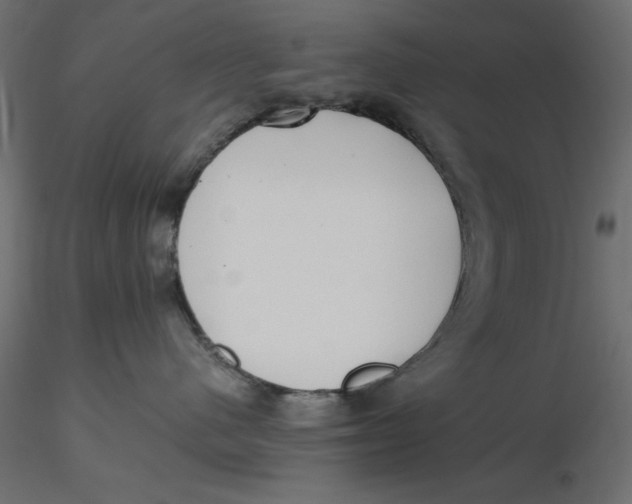 X0000116620480200912312143