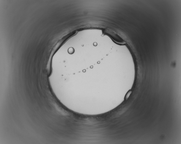 X0000116620481200912312142