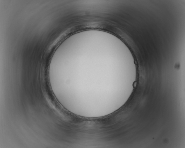 X0000116620482200912312142