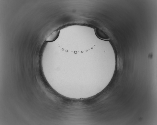 X0000116620483200912312142