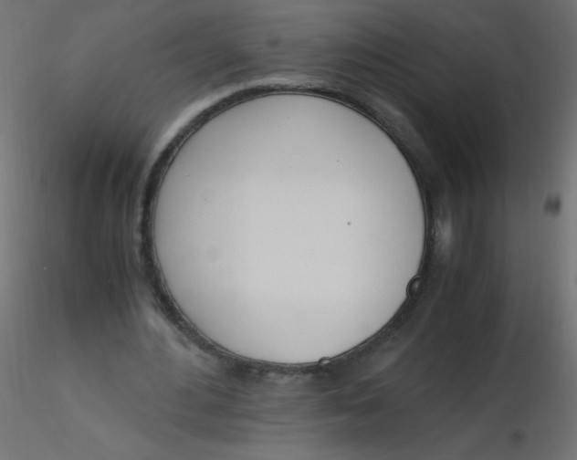 X0000116620484200912312142