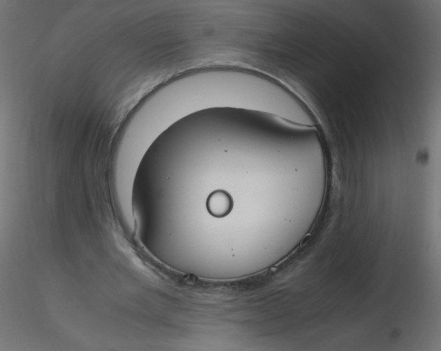 X0000116620485200912312142