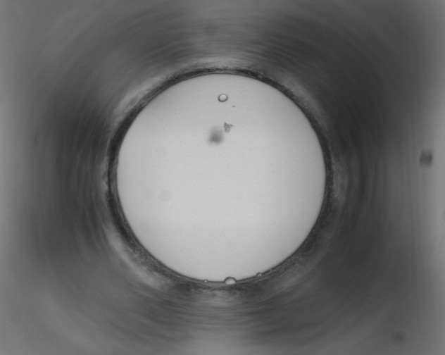 X0000116620486200912312142