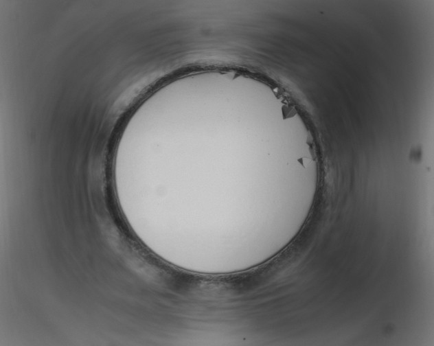 X0000116620487200912312142