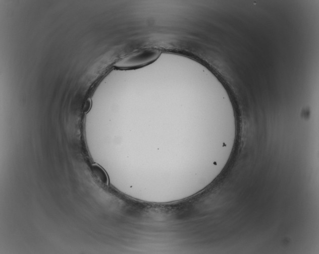 X0000116620489200912312142