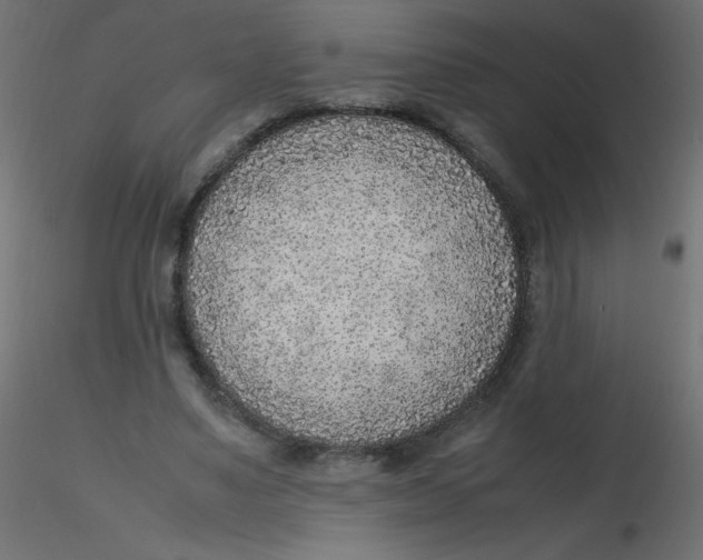 X0000116620491200912312142