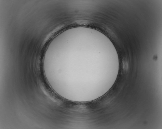 X0000116620492200912312142