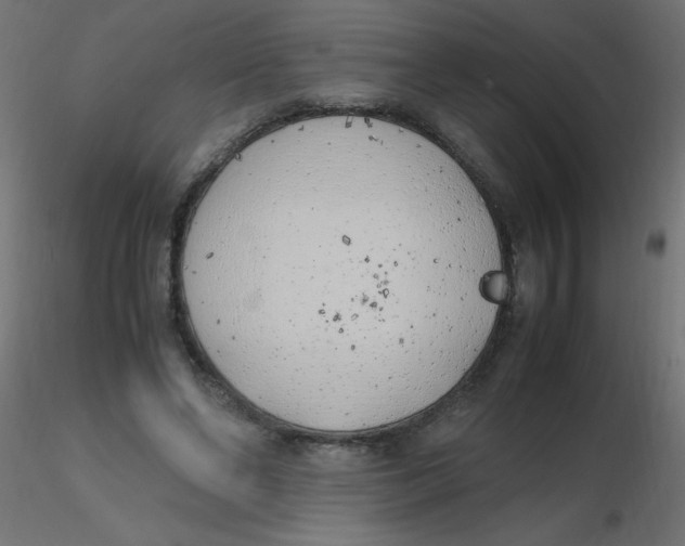 X0000116620494200912312142