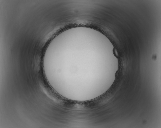 X0000116620496200912312142