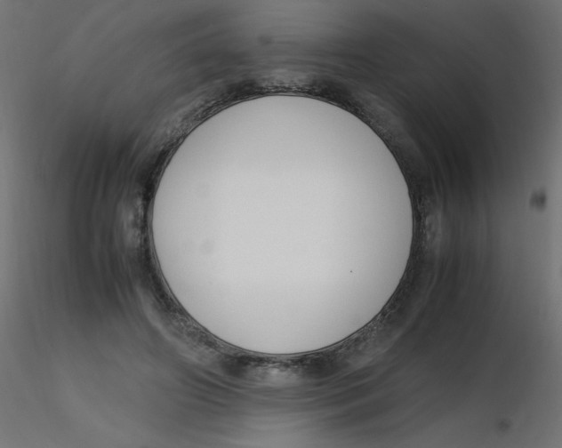 X0000116620498200912312142