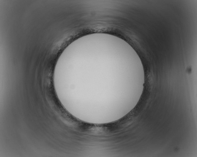 X0000116620499200912312142