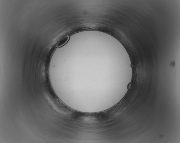 X0000116620500200912312142