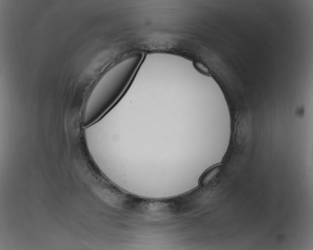 X0000116620501200912312142