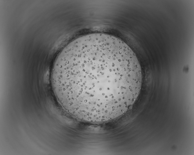 X0000116620502200912312142