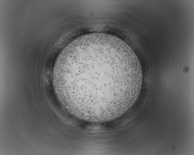 X0000116620503200912312142