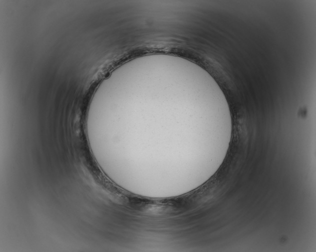 X0000116620504200912312142