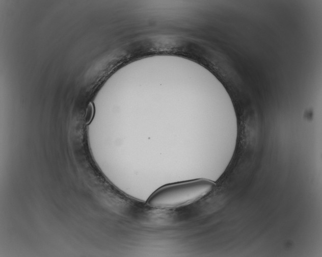 X0000116620505200912312142