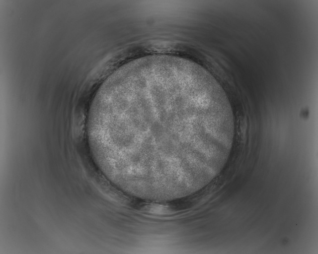 X0000116620507200912312142