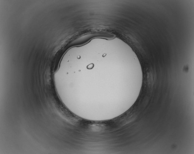 X0000116620508200912312141