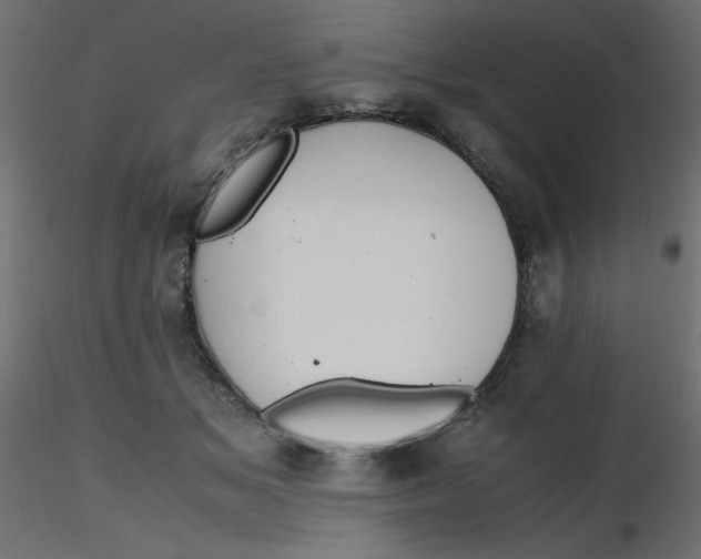 X0000116620509200912312141