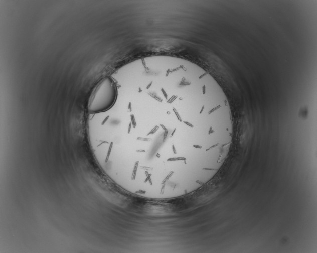 X0000116620510200912312141